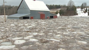 Flooded bran in Red Bridge.