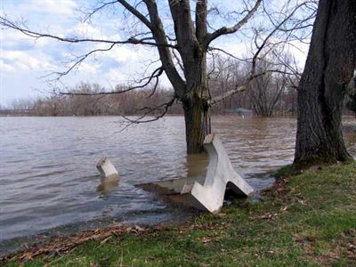 Flooding along Waterloo Row