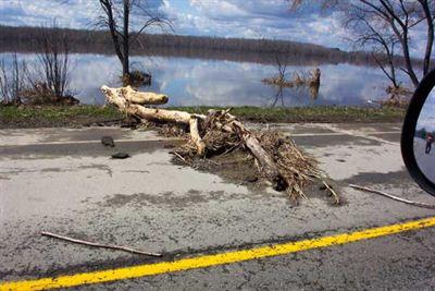 Debris on side of road